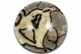 Unique Polished Septarian Dish - Madagascar #350233-1